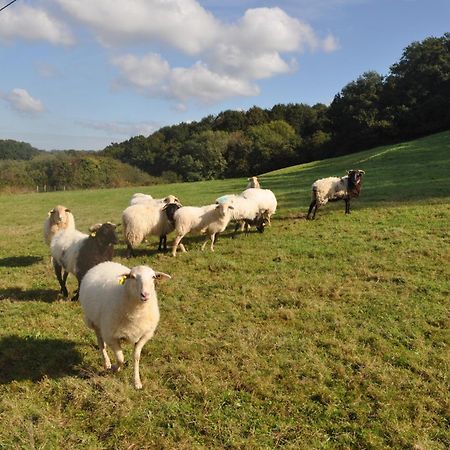 Ferme Elhorga Bed & Breakfast Saint-Pee-sur-Nivelle Exterior photo