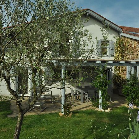 Ferme Elhorga Bed & Breakfast Saint-Pee-sur-Nivelle Exterior photo